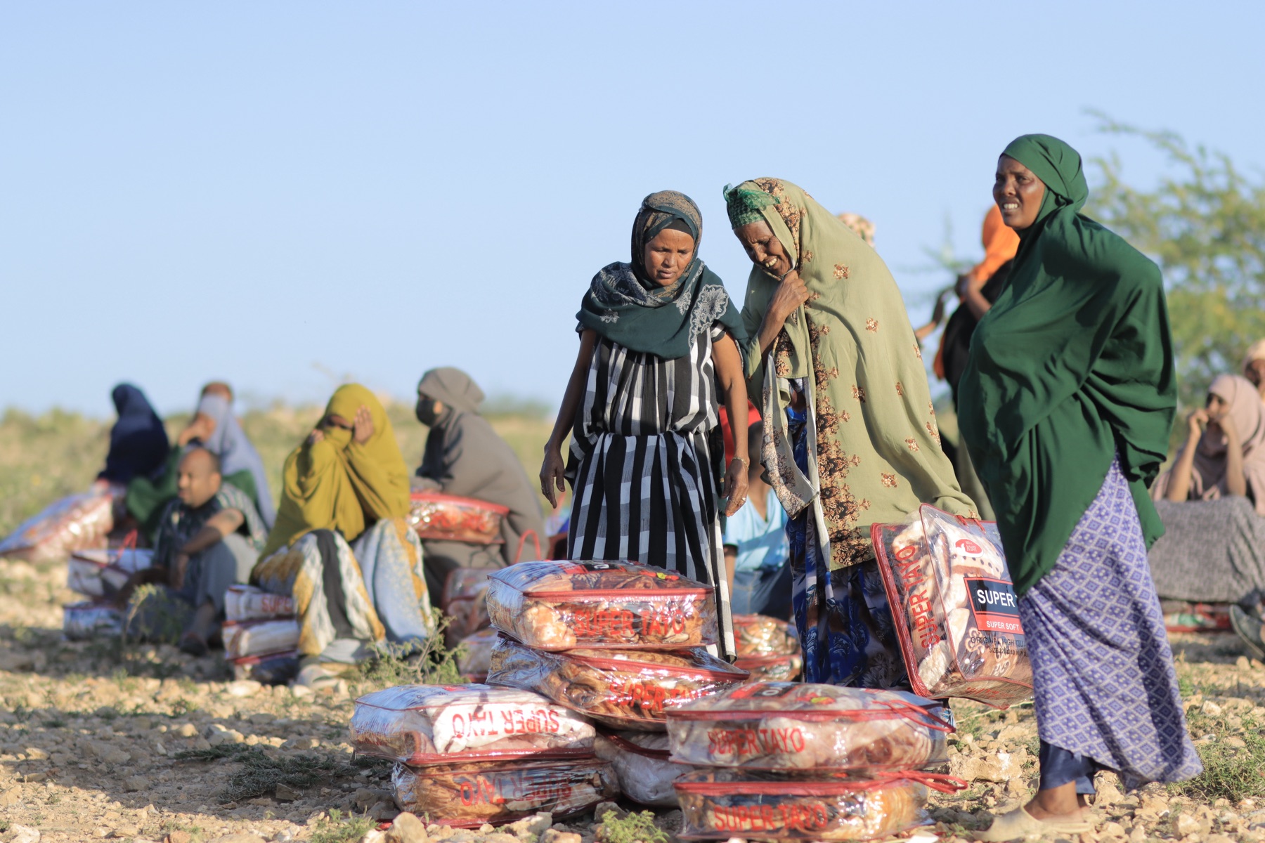 Humanitarian Support